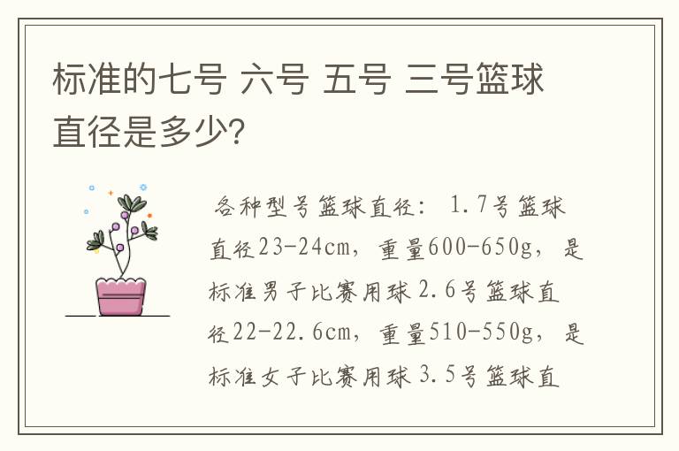 标准的七号 六号 五号 三号篮球直径是多少？