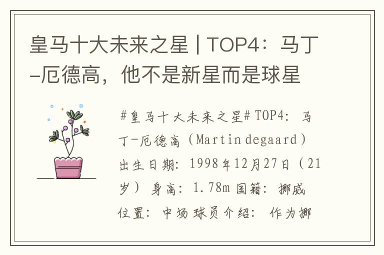 皇马十大未来之星 | TOP4：马丁-厄德高，他不是新星而是球星