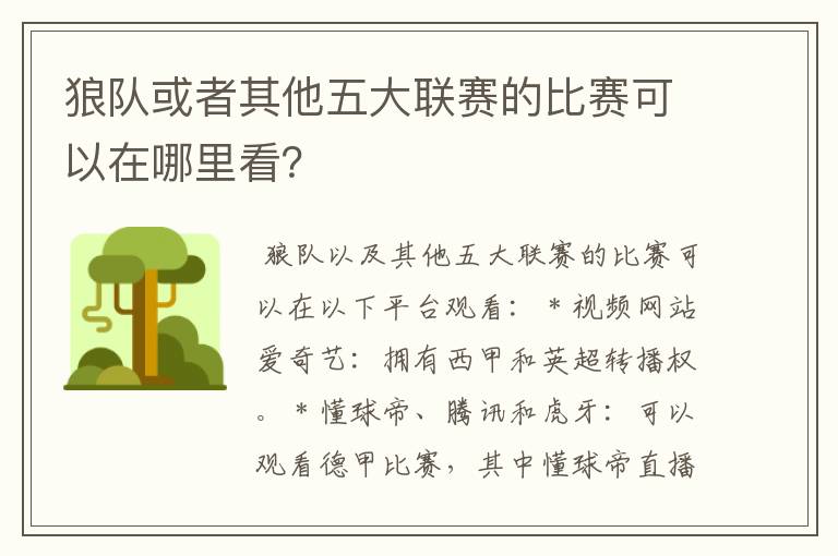 狼队或者其他五大联赛的比赛可以在哪里看？