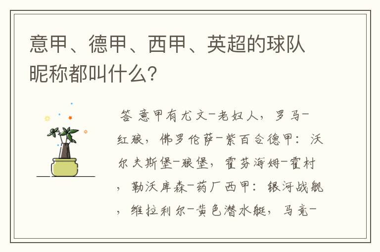 意甲、德甲、西甲、英超的球队昵称都叫什么？