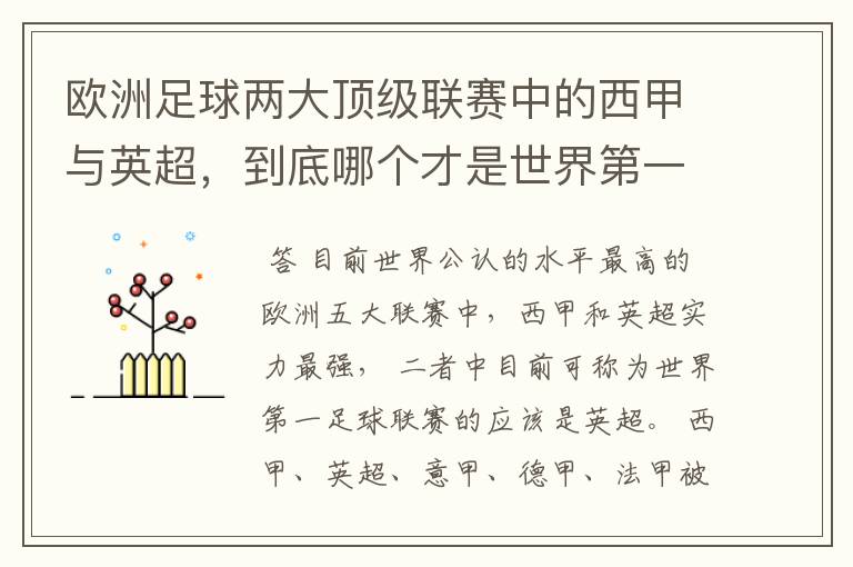 欧洲足球两大顶级联赛中的西甲与英超，到底哪个才是世界第一足球联赛?