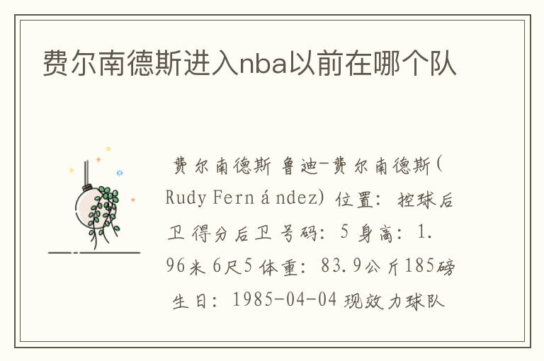 费尔南德斯进入nba以前在哪个队