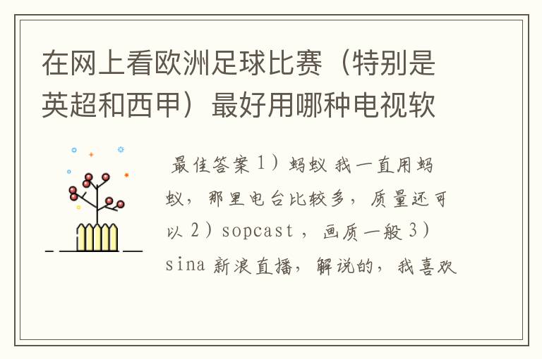 在网上看欧洲足球比赛（特别是英超和西甲）最好用哪种电视软件呢？