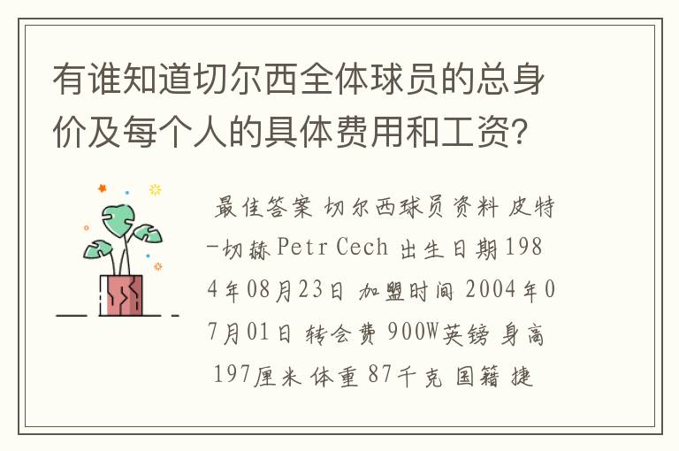 有谁知道切尔西全体球员的总身价及每个人的具体费用和工资？