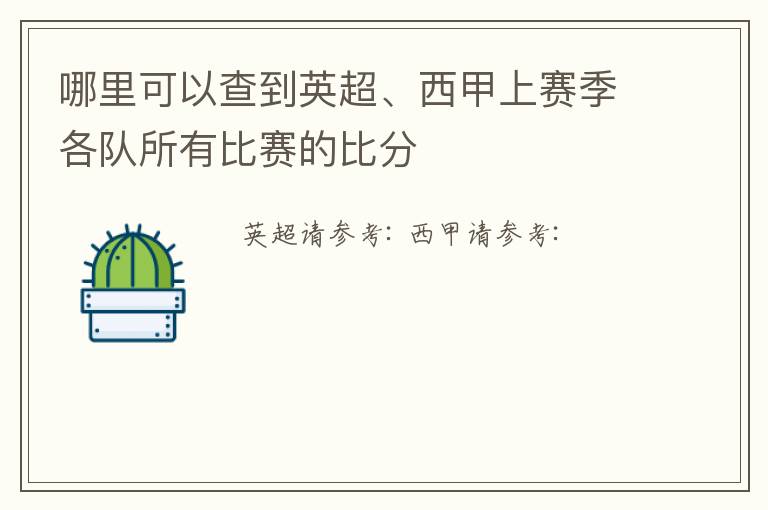 哪里可以查到英超、西甲上赛季各队所有比赛的比分