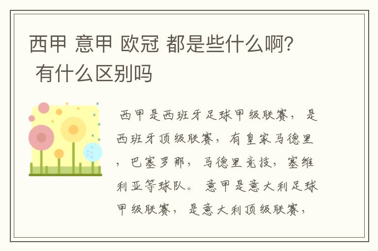 西甲 意甲 欧冠 都是些什么啊？ 有什么区别吗