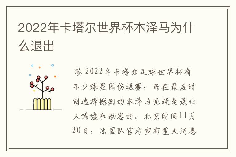 2022年卡塔尔世界杯本泽马为什么退出