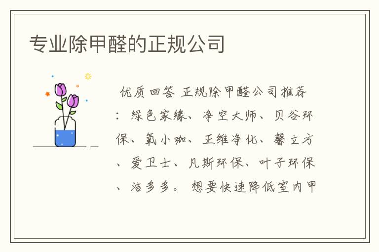 专业除甲醛的正规公司