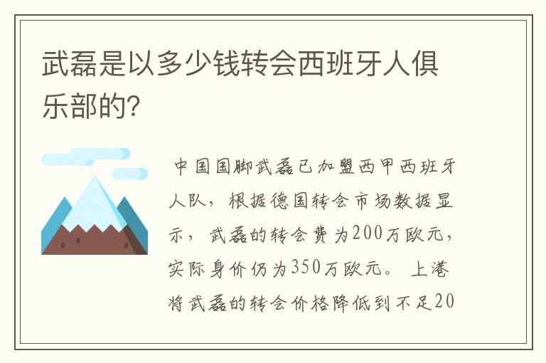 武磊是以多少钱转会西班牙人俱乐部的？