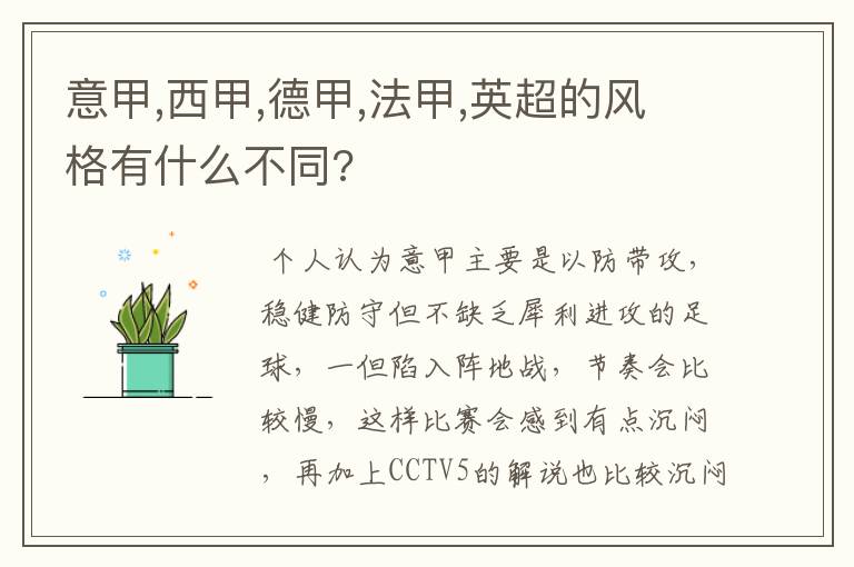 意甲,西甲,德甲,法甲,英超的风格有什么不同?