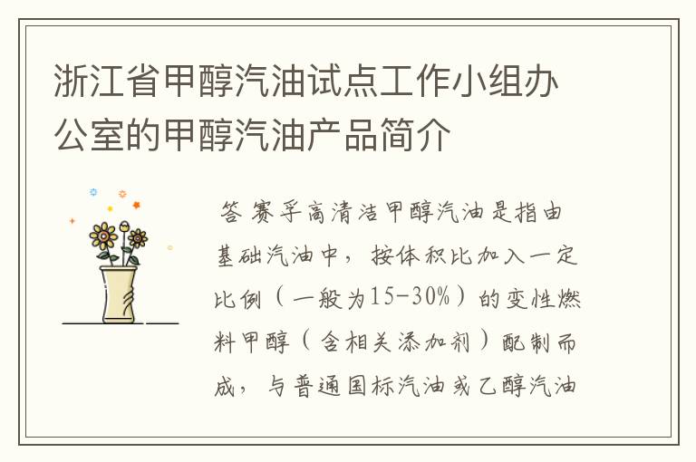 浙江省甲醇汽油试点工作小组办公室的甲醇汽油产品简介