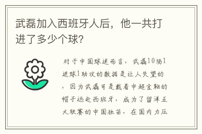 武磊加入西班牙人后，他一共打进了多少个球？