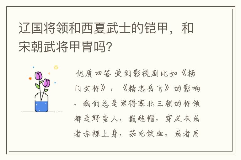 辽国将领和西夏武士的铠甲，和宋朝武将甲胄吗？