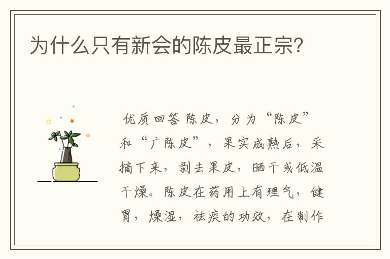 为什么只有新会的陈皮最正宗？