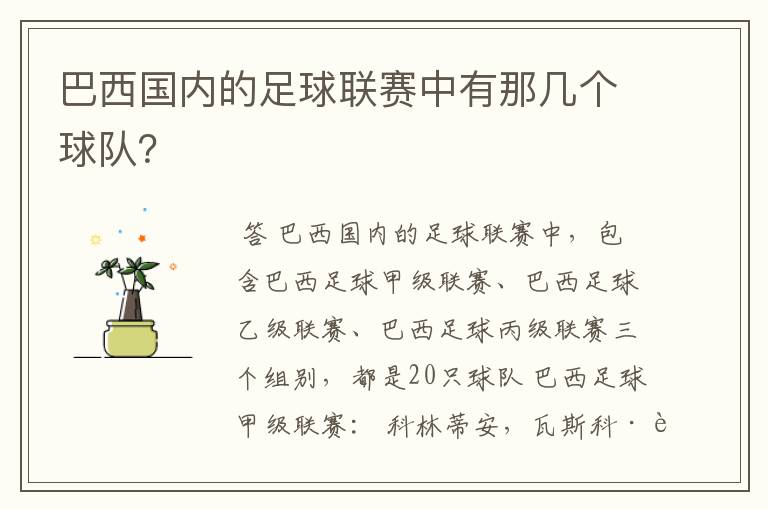 巴西国内的足球联赛中有那几个球队？