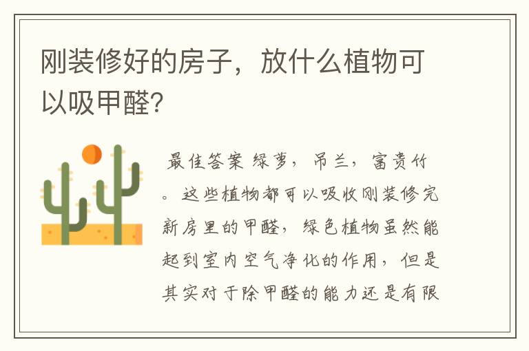 刚装修好的房子，放什么植物可以吸甲醛？