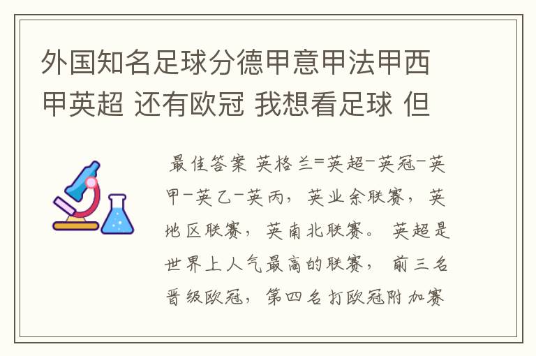 外国知名足球分德甲意甲法甲西甲英超 还有欧冠 我想看足球 但不知道怎么分辨他们怎么进行比赛的