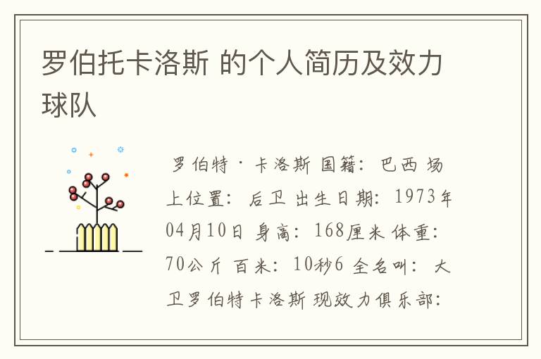 罗伯托卡洛斯 的个人简历及效力球队