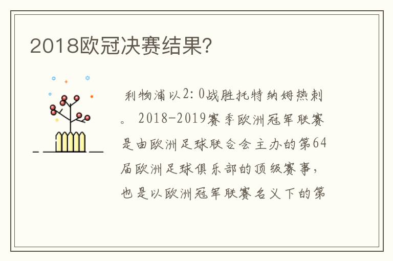 2018欧冠决赛结果？