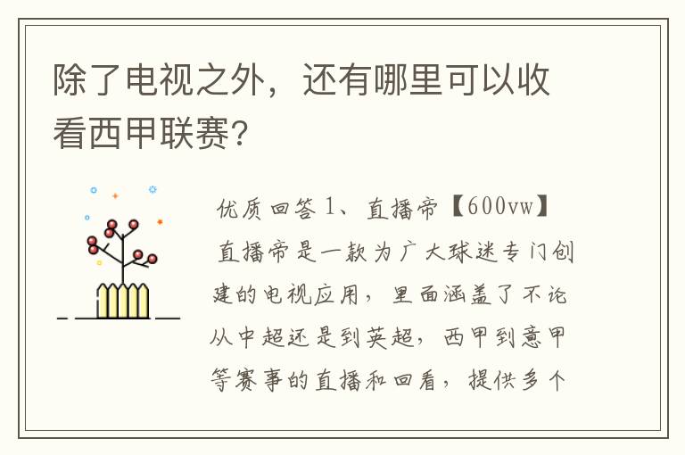 除了电视之外，还有哪里可以收看西甲联赛?