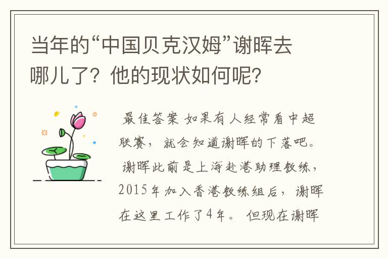 当年的“中国贝克汉姆”谢晖去哪儿了？他的现状如何呢？