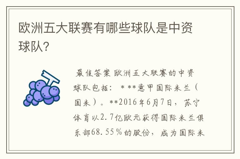 欧洲五大联赛有哪些球队是中资球队？