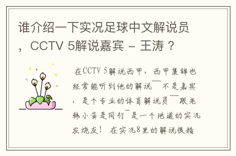 谁介绍一下实况足球中文解说员，CCTV 5解说嘉宾 - 王涛 ？