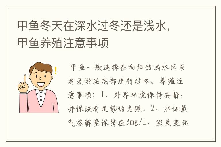 甲鱼冬天在深水过冬还是浅水，甲鱼养殖注意事项