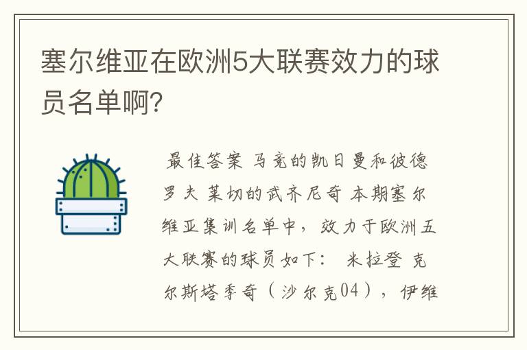 塞尔维亚在欧洲5大联赛效力的球员名单啊？