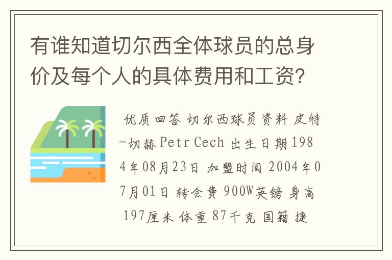 有谁知道切尔西全体球员的总身价及每个人的具体费用和工资？