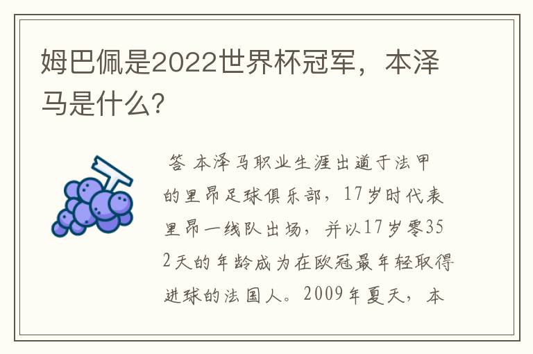 姆巴佩是2022世界杯冠军，本泽马是什么？