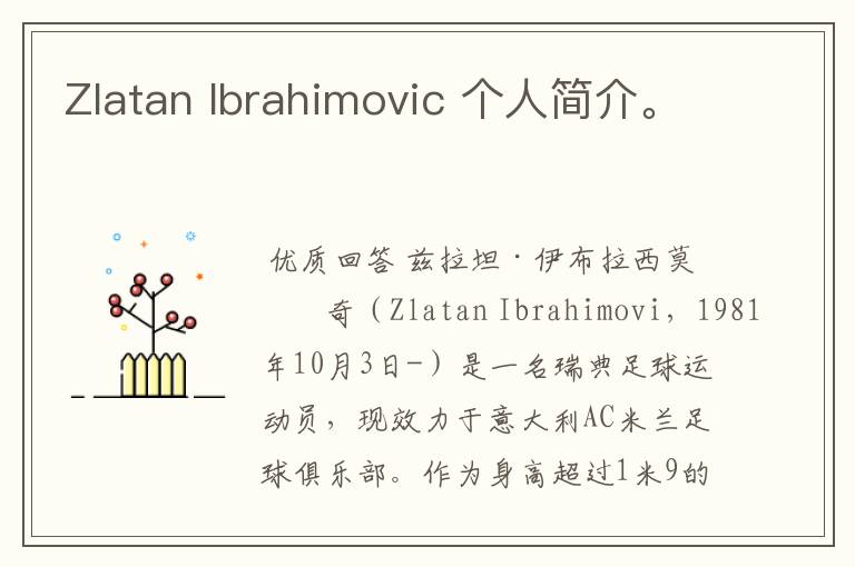 Zlatan Ibrahimovic 个人简介。