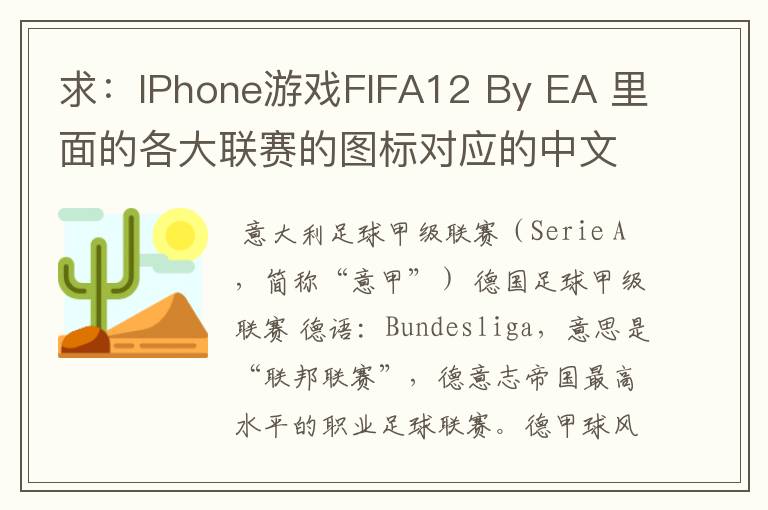 求：IPhone游戏FIFA12 By EA 里面的各大联赛的图标对应的中文名称 例如：Liga BBVA 西甲