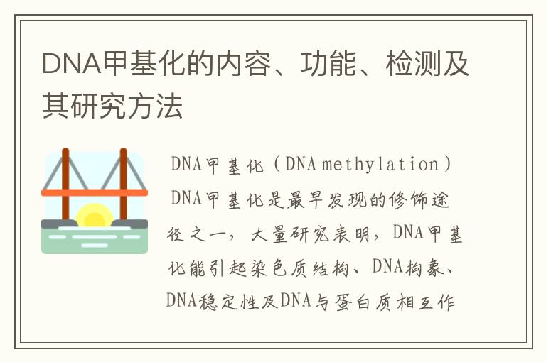 DNA甲基化的内容、功能、检测及其研究方法