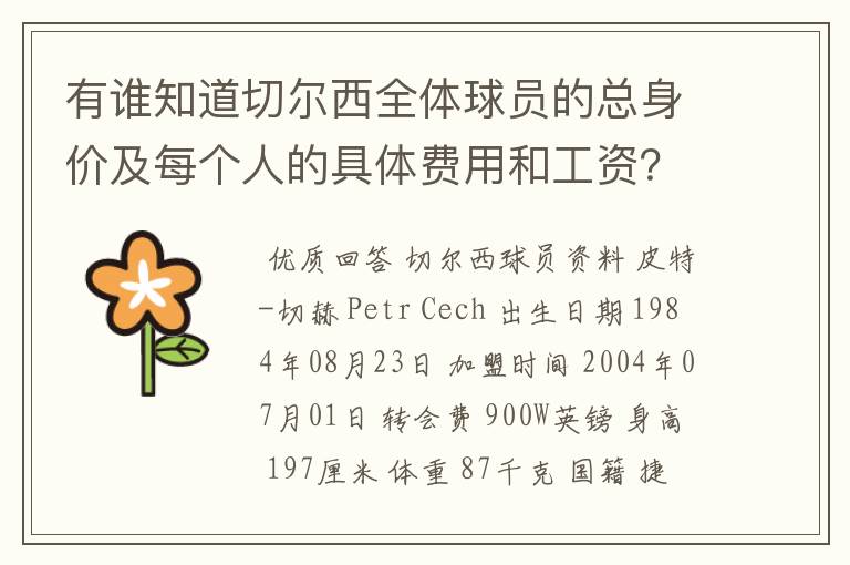 有谁知道切尔西全体球员的总身价及每个人的具体费用和工资？