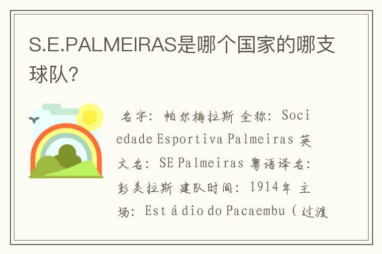 S.E.PALMEIRAS是哪个国家的哪支球队？