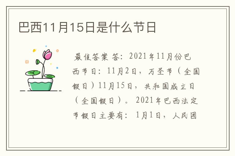 巴西11月15日是什么节日