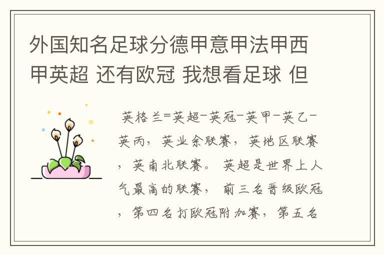 外国知名足球分德甲意甲法甲西甲英超 还有欧冠 我想看足球 但不知道怎么分辨他们怎么进行比赛的