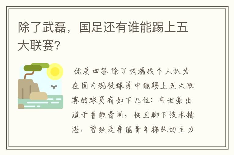 除了武磊，国足还有谁能踢上五大联赛？