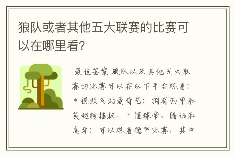 狼队或者其他五大联赛的比赛可以在哪里看？