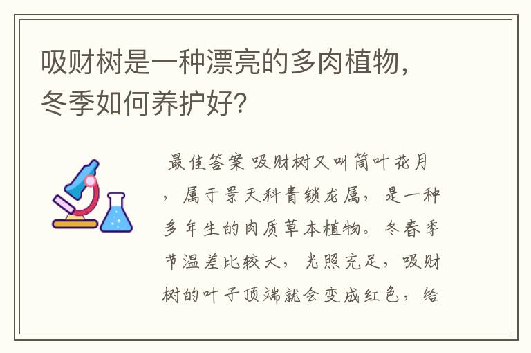 吸财树是一种漂亮的多肉植物，冬季如何养护好？