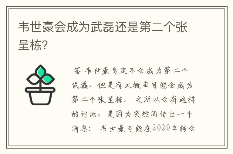 韦世豪会成为武磊还是第二个张呈栋？