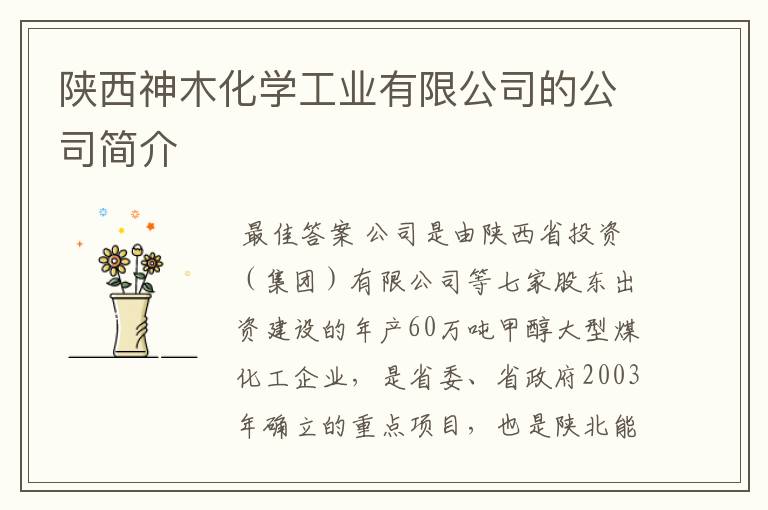 陕西神木化学工业有限公司的公司简介