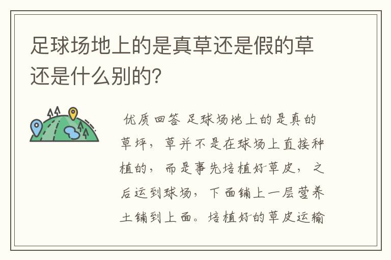 足球场地上的是真草还是假的草还是什么别的？