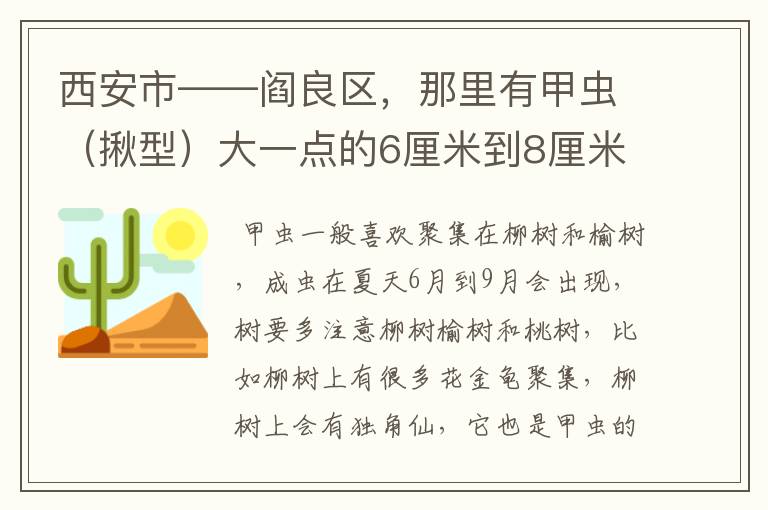 西安市——阎良区，那里有甲虫（揪型）大一点的6厘米到8厘米 。 怎么抓 ？