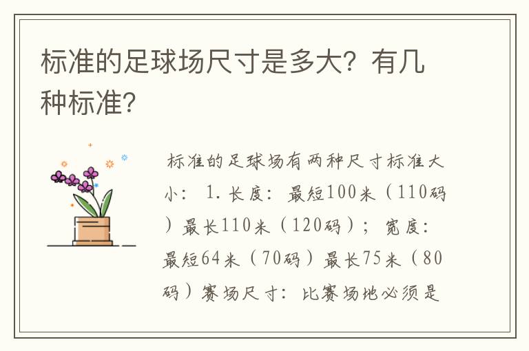 标准的足球场尺寸是多大？有几种标准？