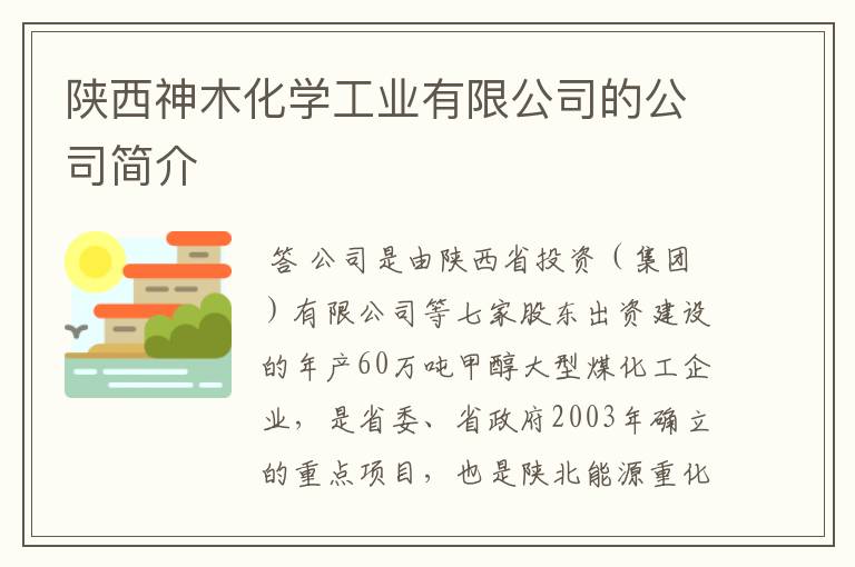 陕西神木化学工业有限公司的公司简介