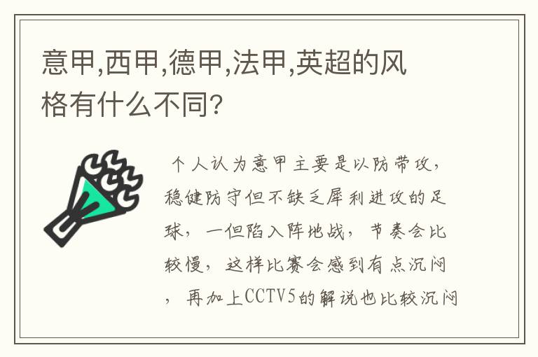意甲,西甲,德甲,法甲,英超的风格有什么不同?