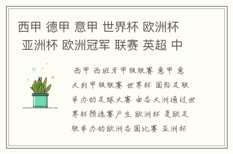 西甲 德甲 意甲 世界杯 欧洲杯 亚洲杯 欧洲冠军 联赛 英超 中超  分别是什么意思啊？