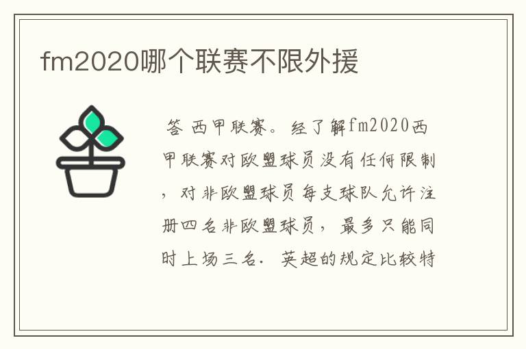 fm2020哪个联赛不限外援